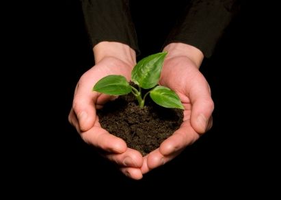 From Little Things Big Things Grow