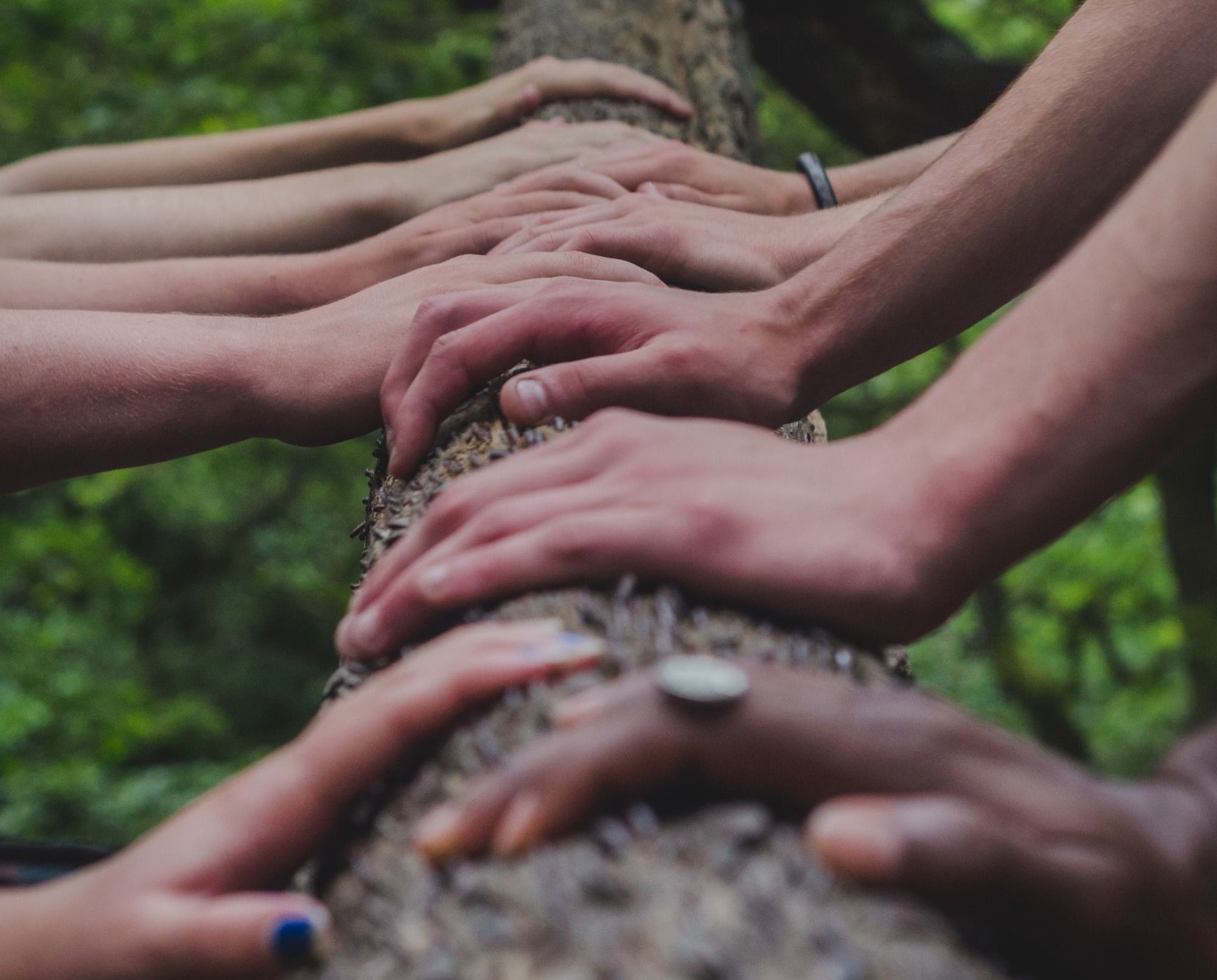 a group of people holding hands on top of a tree